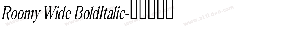 Roomy Wide BoldItalic字体转换